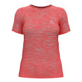 T-Shirt Korte Mouwen Crew Neck Blackcomb Ceramicool