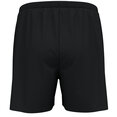 2-in-1 Loopshort Essential