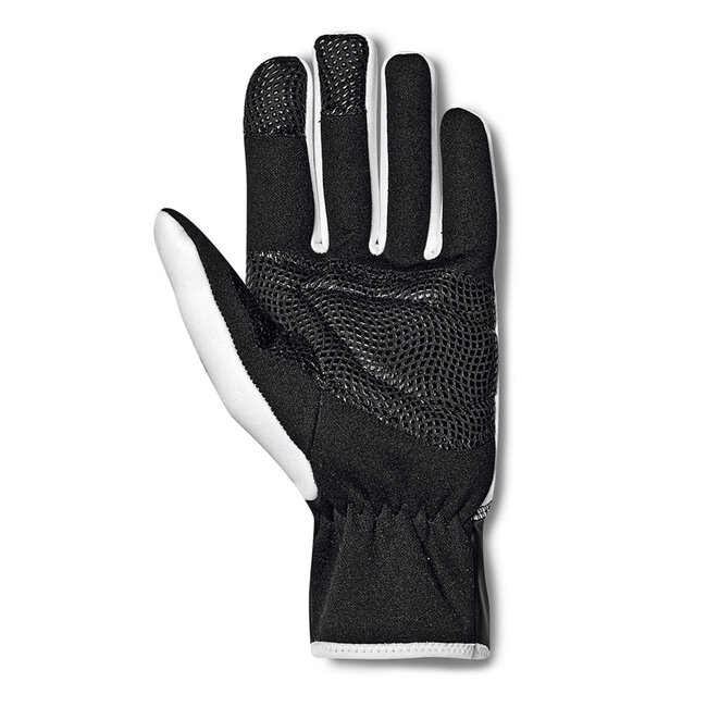 Polar Winter Gloves (73)