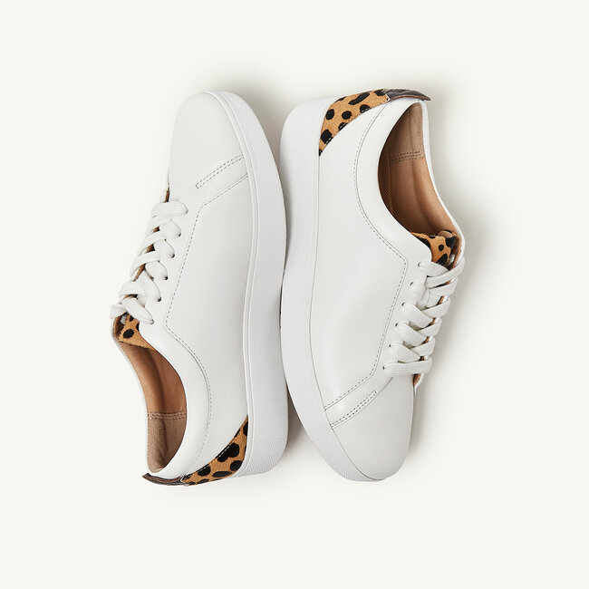 Rally Leopard-Back Leather Sneakers