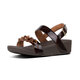 Chocolate Brown Turtle